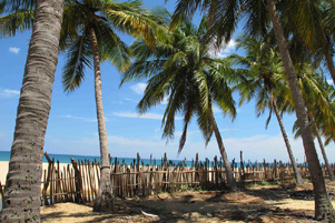 The beach at Kalkudah The beach at Kalkudah, Sri Lanka - Photo: Flickr / ''christophe_cerisier''