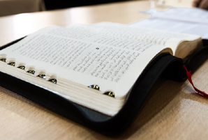 Algerian Bible Algerian Bible - Photo: Pixabay