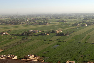 The Assiut Governate The Assiut Governate, Egypt - Photo: Wikimedia / Roland Unger