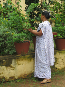 Bhanvini tending to bushes Bhanvini tending to bushes