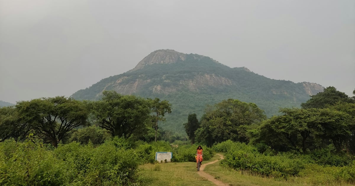 Hazy skies overshadow a mountain in the background with trees in the foreground. A woman is on a narrow path. Hazy skies overshadow a mountain in the background with trees in the foreground. A woman is on a narrow path.