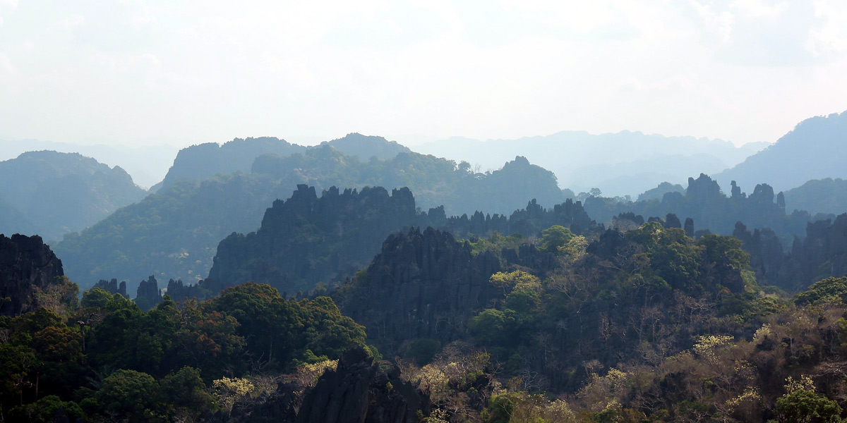 /countries/laos/la-forest-pixabay-lg.jpg A forest in Laos - Photo: Pixabay