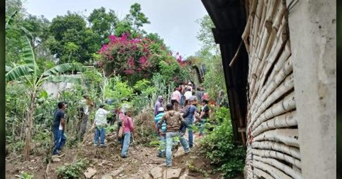 People are walking uphill, surrounded by trees.