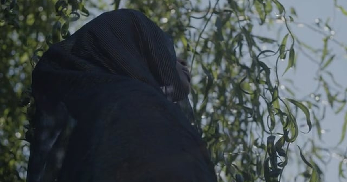 A woman in dark clothing is looking up through sunlit branches. A woman in dark clothing is looking up through sunlit branches.