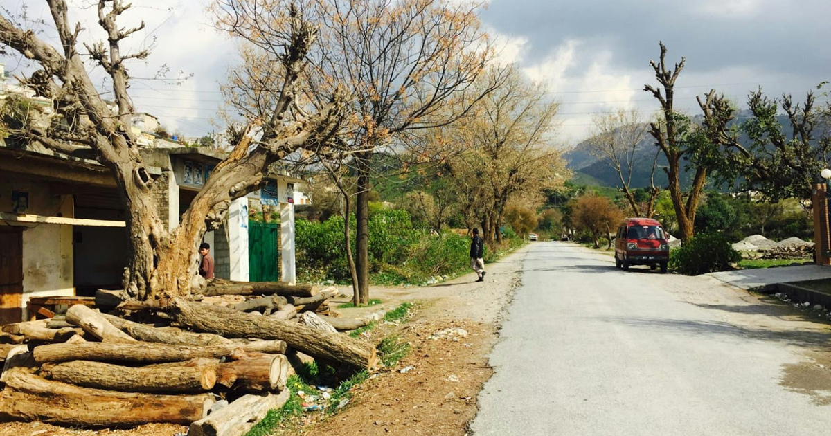 A road extends through a village with small buildings surrounded by trees.