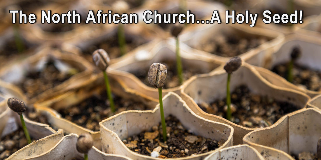 The North African Church...A Holy Seed!