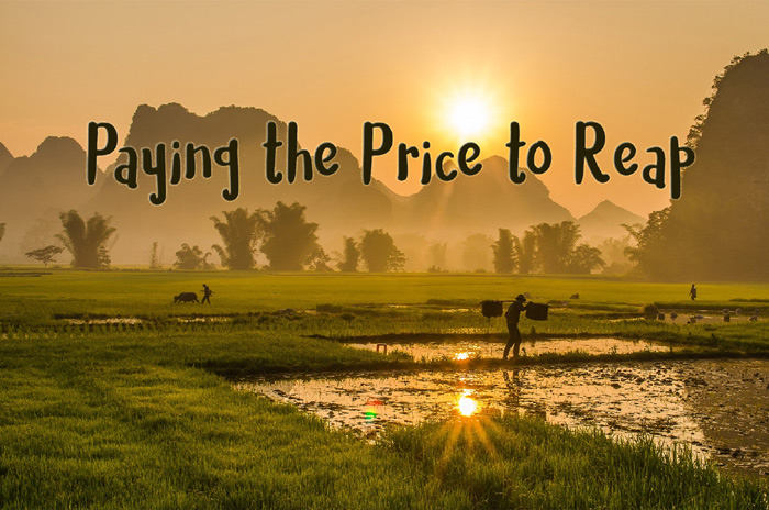 Paying the Price to Reap