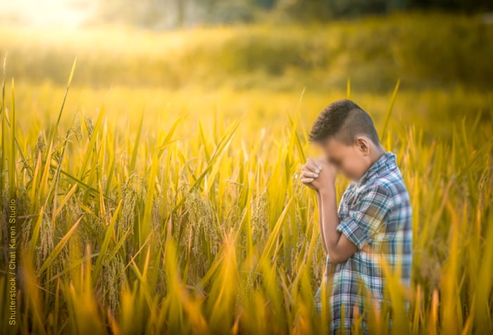 Boy praying in rice fields of Thailand