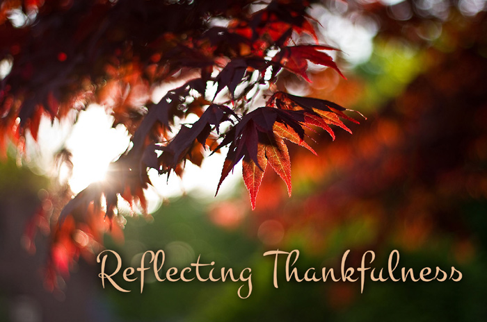 Reflecting Thankfulness