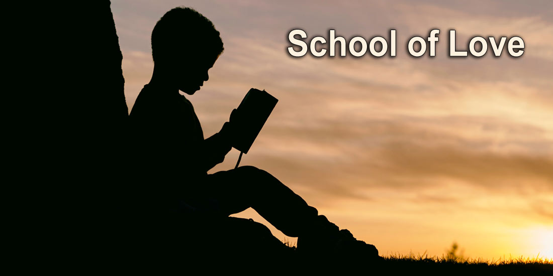 school of love