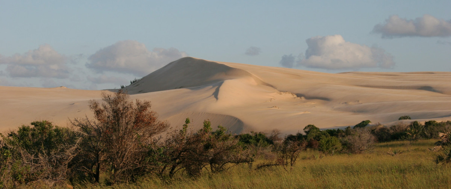 Mozambique - Sandy hills with trees in the foreground. Mozambique - Sandy hills with trees in the foreground.