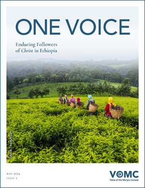 Link to PDF: VOMC's magazine - May 2026